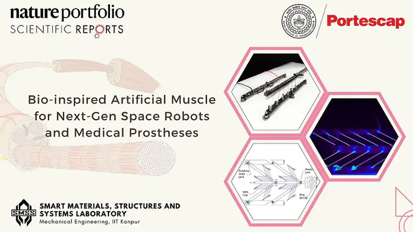 Design and development of non-magnetic hierarchical actuator powered by shape memory alloy based bipennate muscle